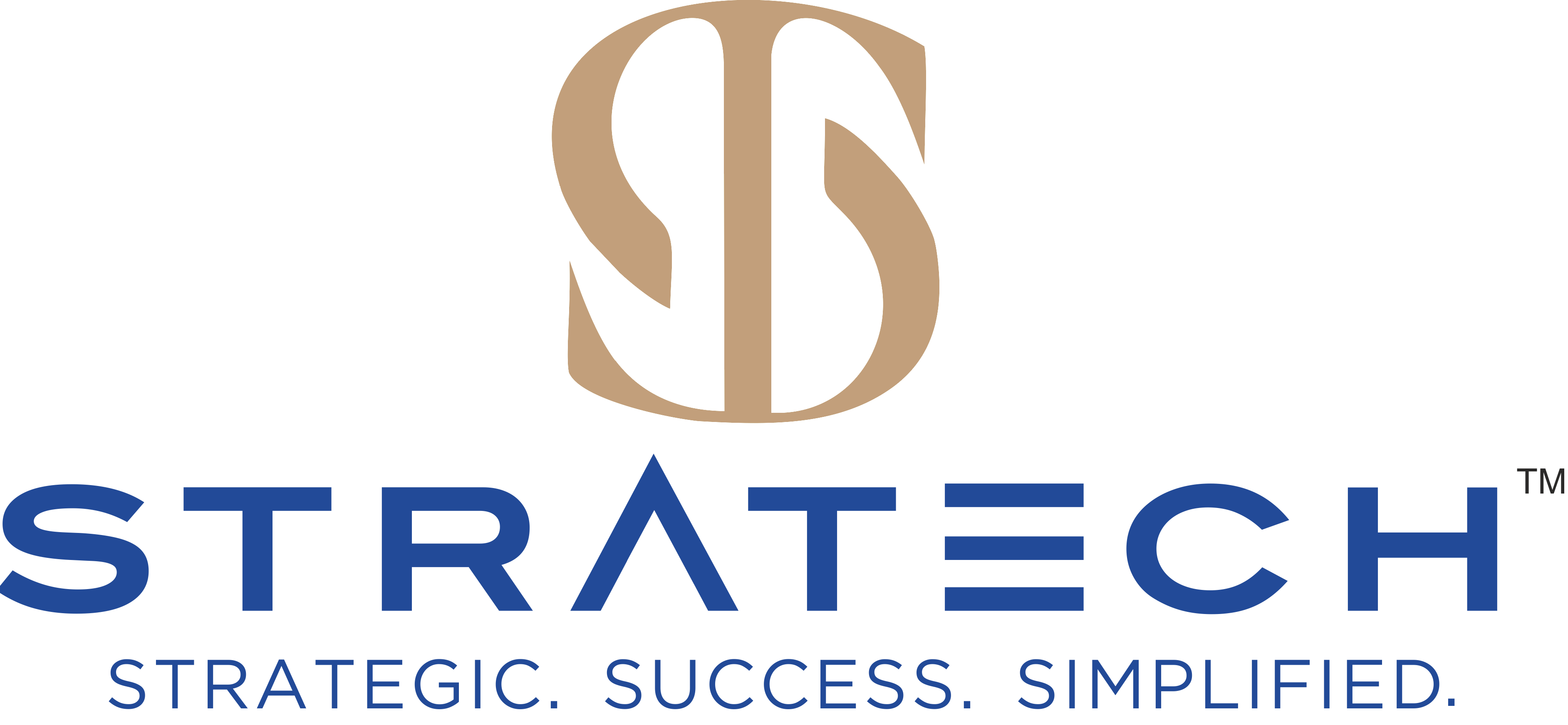 logo icon